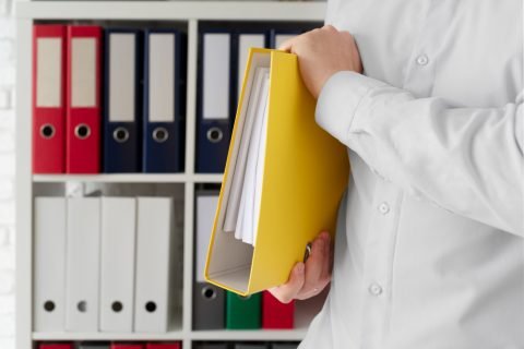 Revisión bibliográfica, organización de documentos.