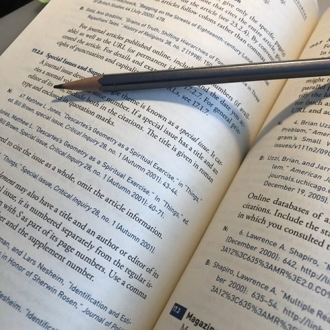 Revisión bibliográfica, revisión de palabras clave.