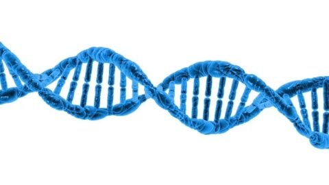 Avances en crispr